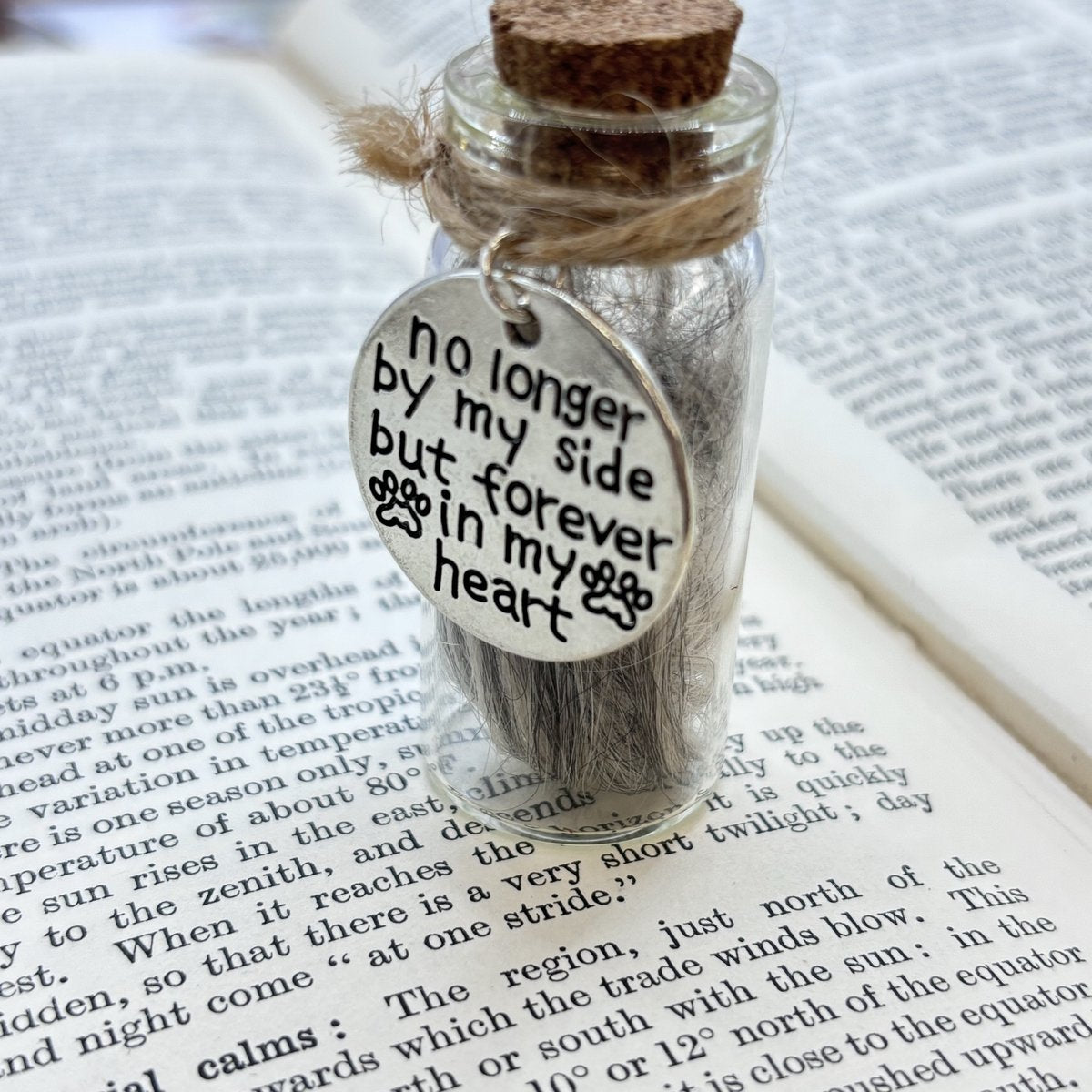 Mini glazen urn voor overleden huisdier, Pet Memorial Jar, Pet Fur Keepsake, glazen pot voor Pet Memorial vacht of as van hond of kat, Pet Lovers Gifts, Dog/Cat Remembrance, Dog Memorial Gifts