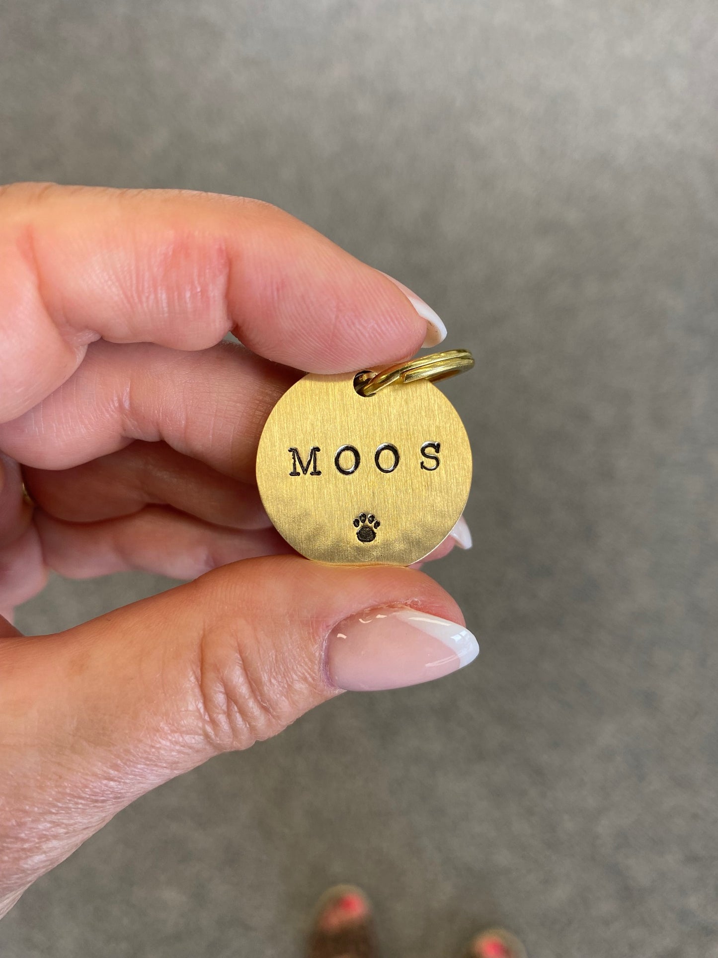 Kattenopsluiting: Extra klein: 19 mm!