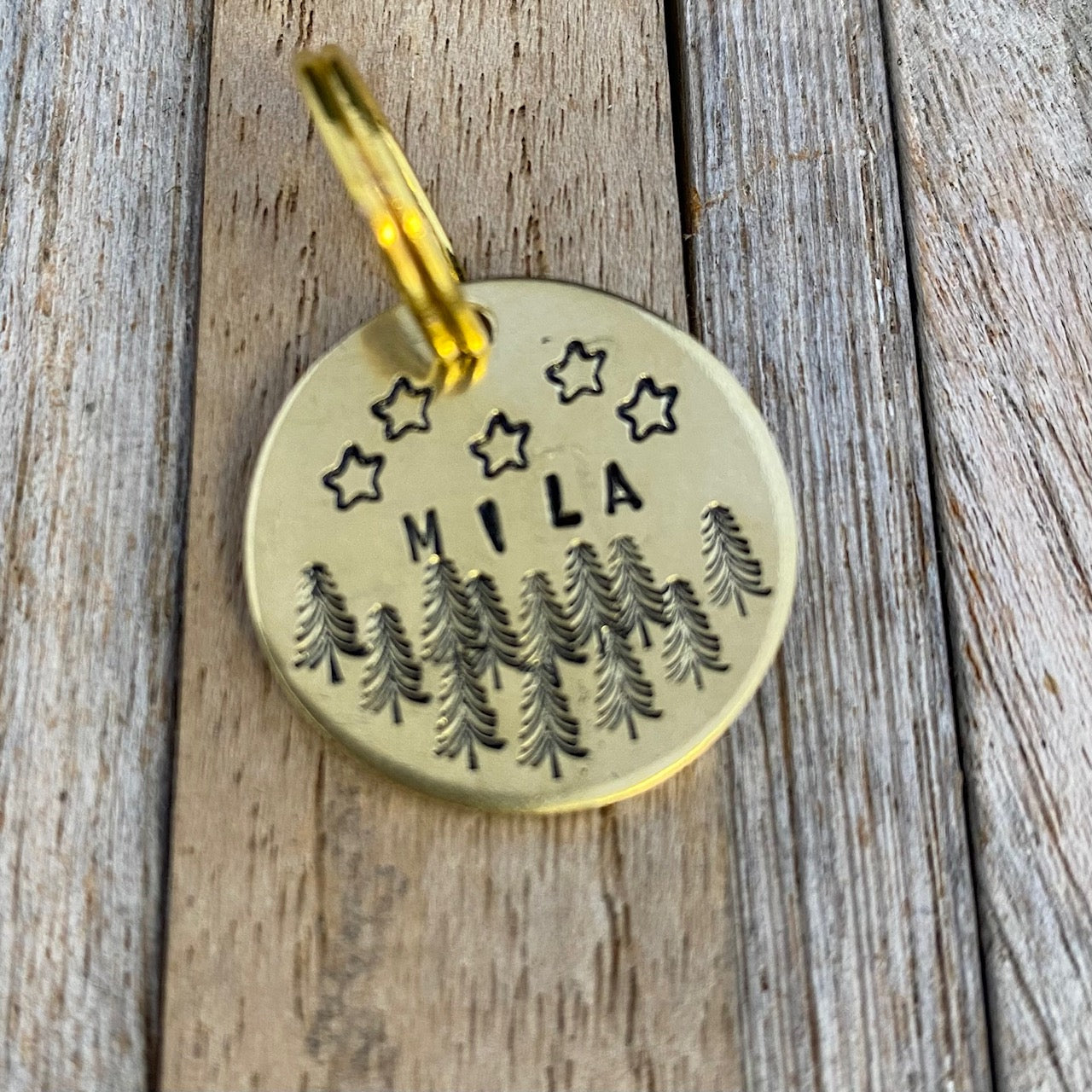 Dierenpenning speciaal ontwerp