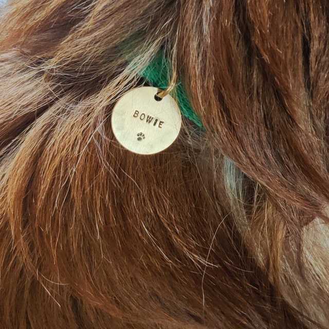 Kattenopsluiting: Extra klein: 19 mm!