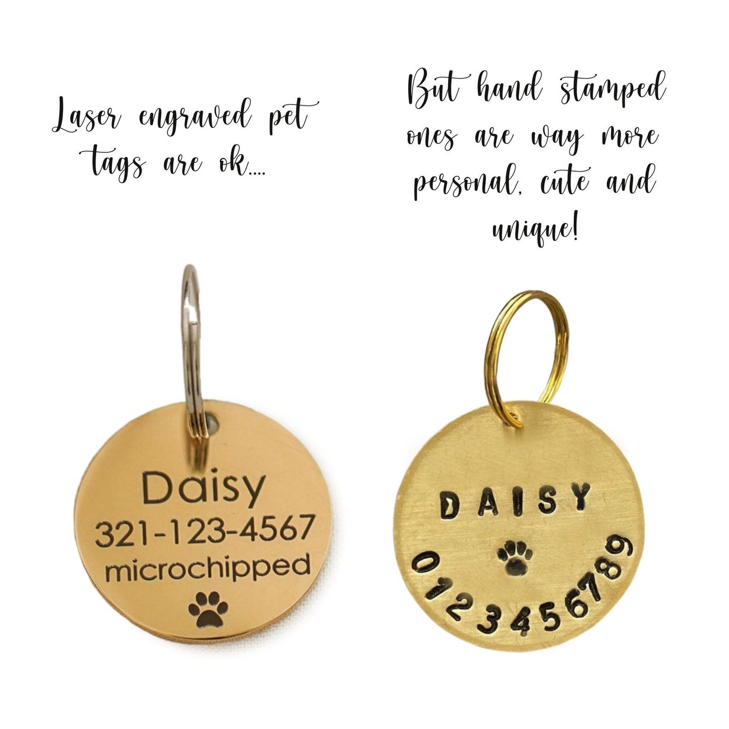 Dierenpenning met cactusontwerp 🌵