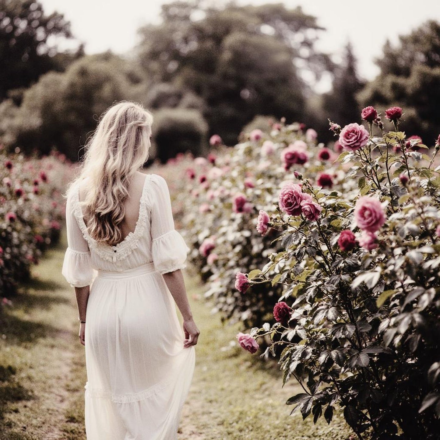 Blush & Bloom Rose Rhubarb & Lychee Perfume – Handcrafted Floral Fragrance, Romantic Gift for Her, Elegant Feminine Scent