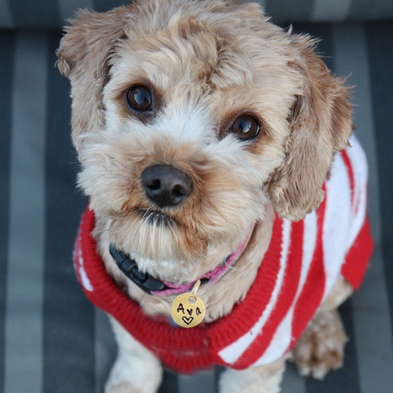 Dierenpenning minimalistisch ontwerp