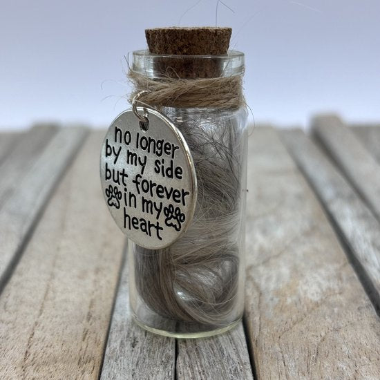 Mini glazen urn voor overleden huisdier, Pet Memorial Jar, Pet Fur Keepsake, glazen pot voor Pet Memorial vacht of as van hond of kat, Pet Lovers Gifts, Dog/Cat Remembrance, Dog Memorial Gifts