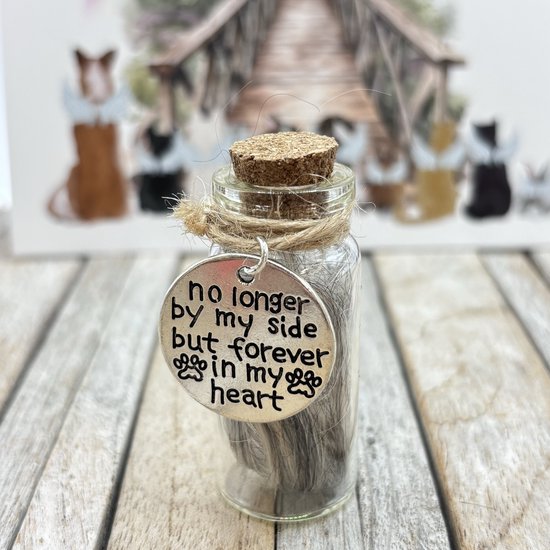 Mini glazen urn voor overleden huisdier, Pet Memorial Jar, Pet Fur Keepsake, glazen pot voor Pet Memorial vacht of as van hond of kat, Pet Lovers Gifts, Dog/Cat Remembrance, Dog Memorial Gifts