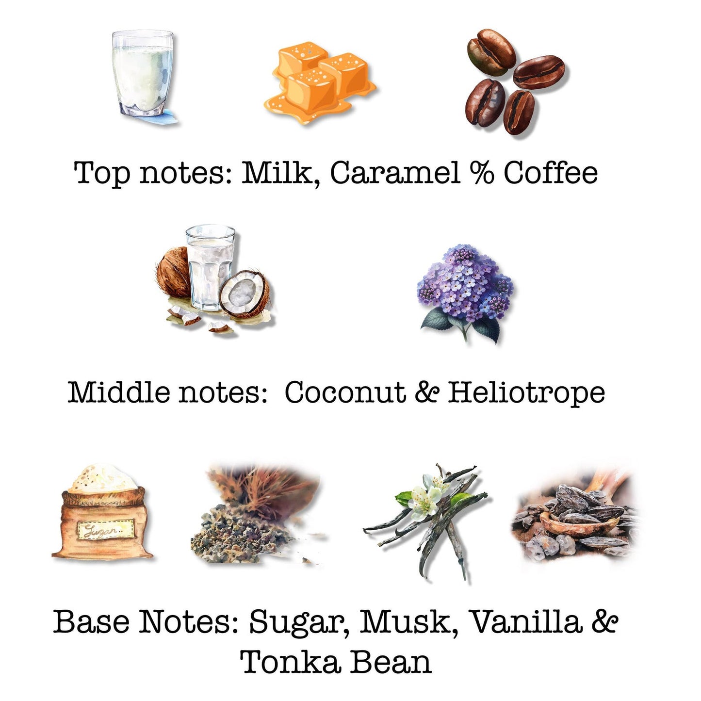 Coffee Perfume Caramel Gourmand fragrance perfume, Super long lasting sweet gourmand, coffee lover, fall winter scent for women