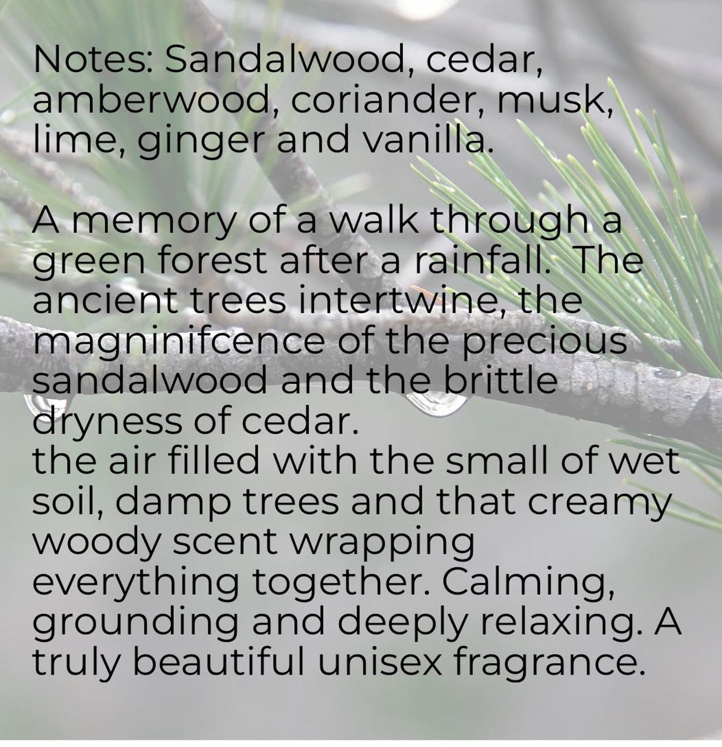 Forest Rain Perfume Oil: Cypress, Fir & Bergamot - Handcrafted Botanical UNISEX Scent