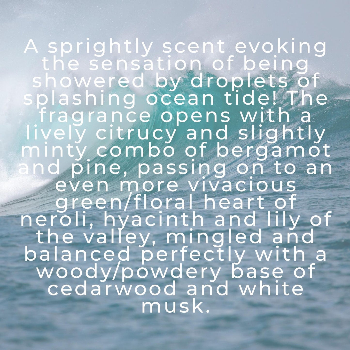 Ocean Breeze Perfume | Handcrafted Aquatic Fragrance with Bergamot, Neroli, Hyacinth, Cedarwood & Musk | Fresh Aquatic Scent