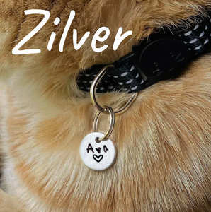 Zilver: Extra klein: 19 mm!